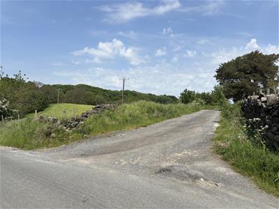 Picture 19